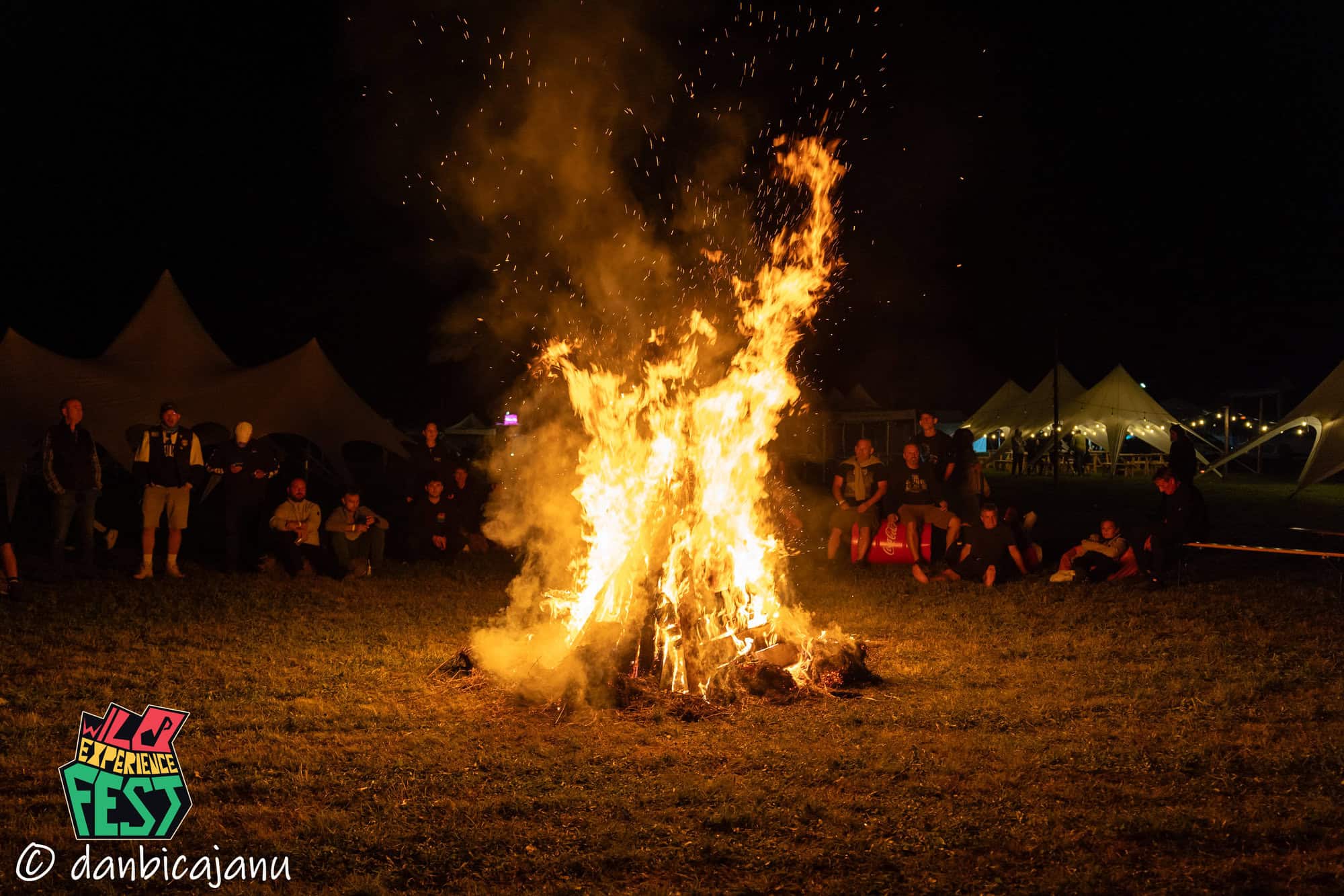 Wild Experience Fest